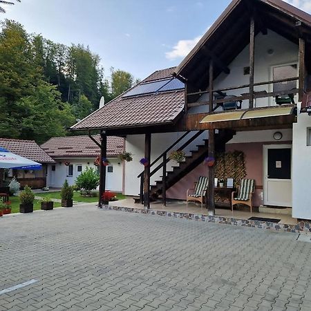 Casa Popa'S Hotel Cîrţişoara Bagian luar foto