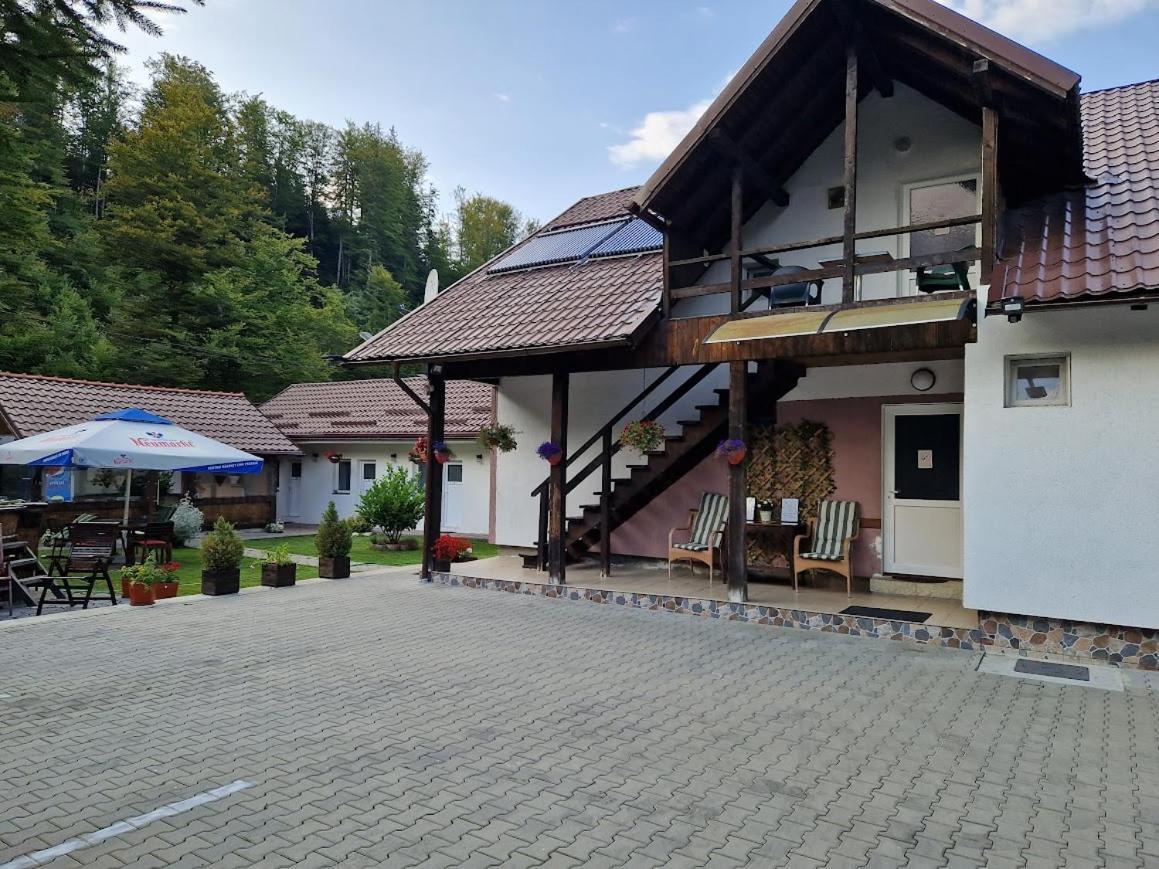 Casa Popa'S Hotel Cîrţişoara Bagian luar foto