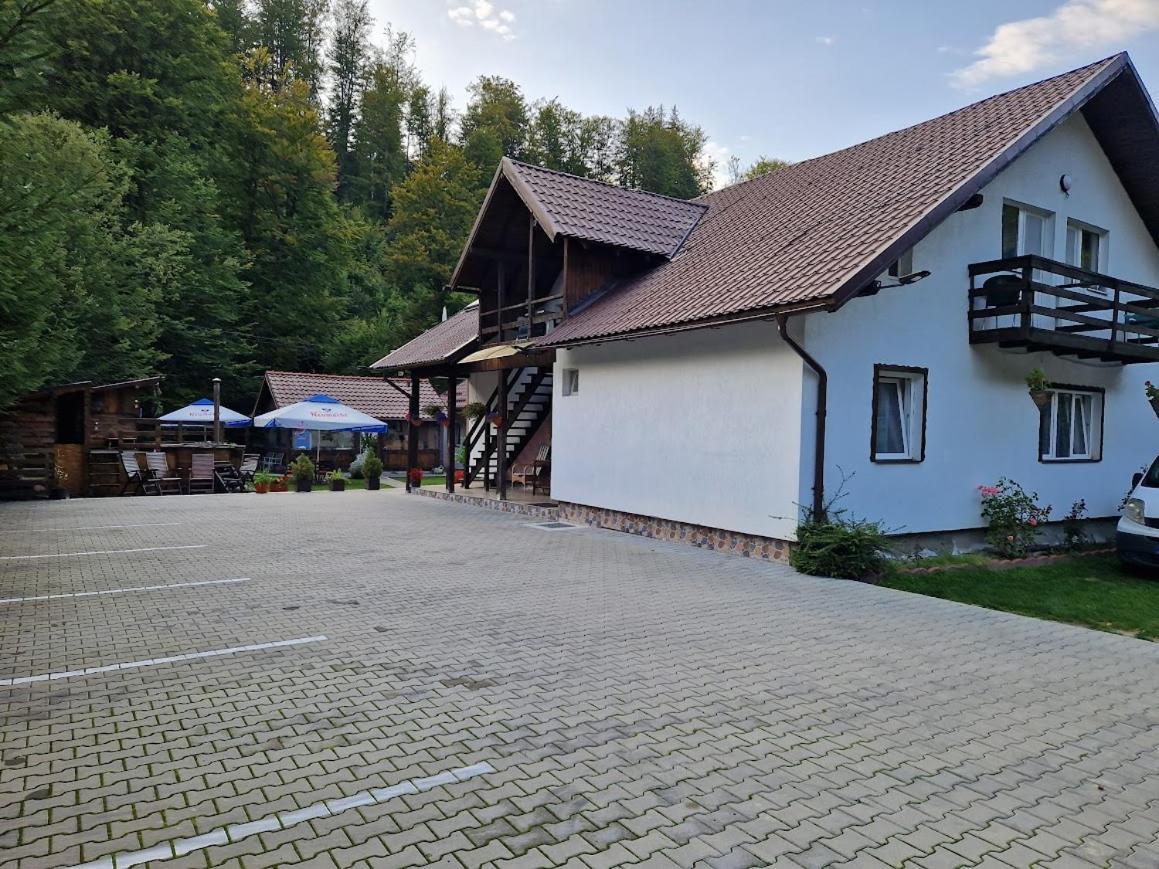 Casa Popa'S Hotel Cîrţişoara Bagian luar foto