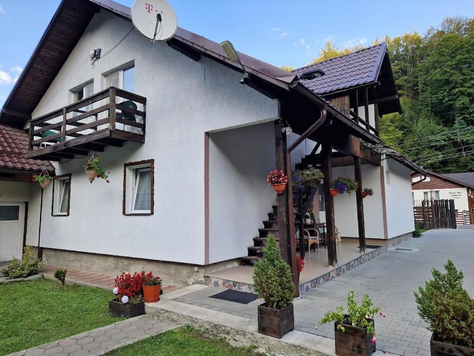 Casa Popa'S Hotel Cîrţişoara Bagian luar foto