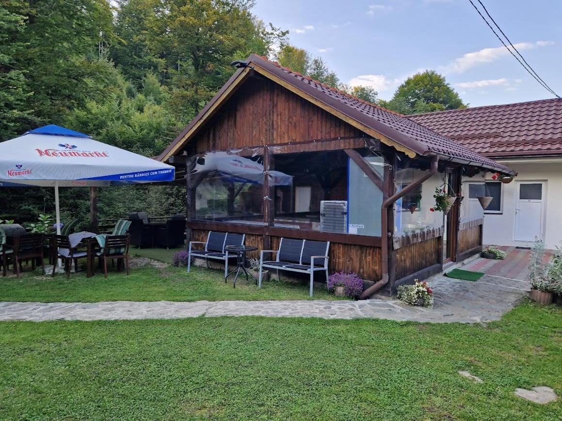 Casa Popa'S Hotel Cîrţişoara Bagian luar foto
