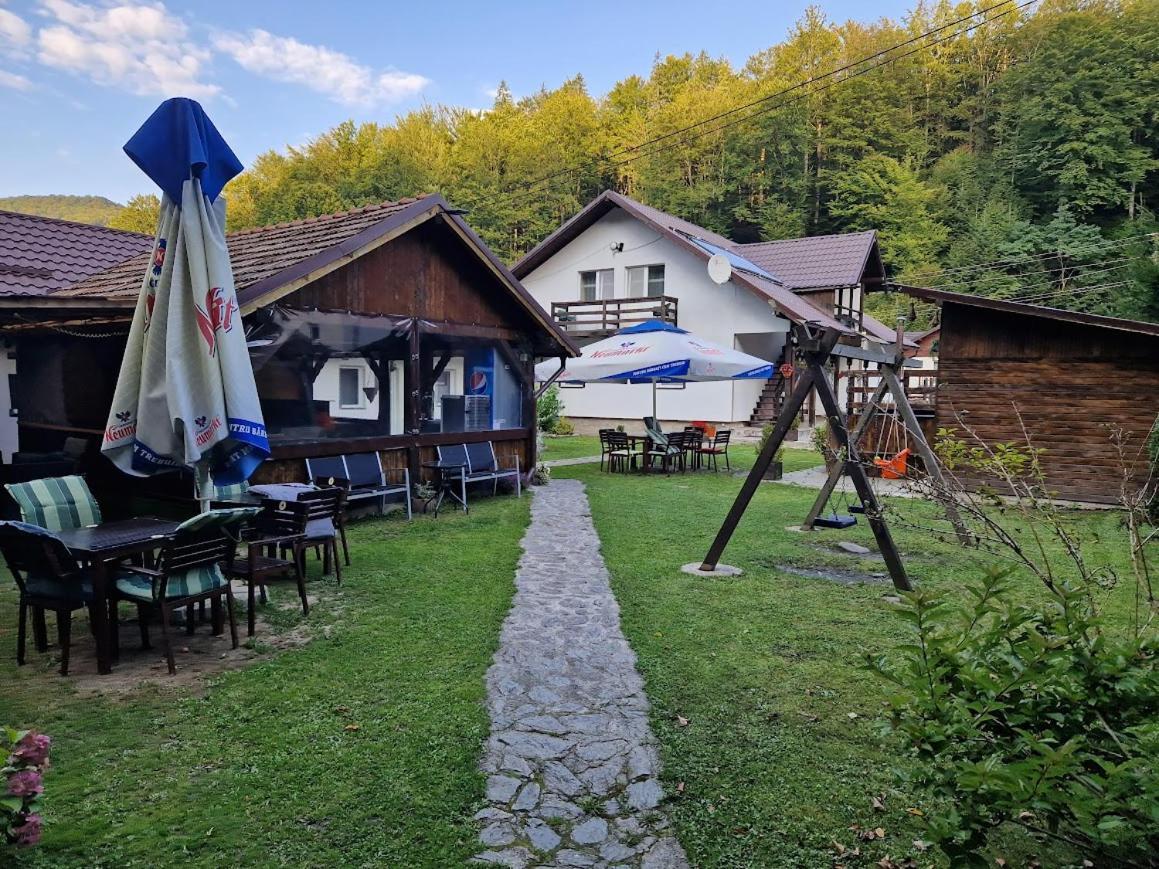 Casa Popa'S Hotel Cîrţişoara Bagian luar foto