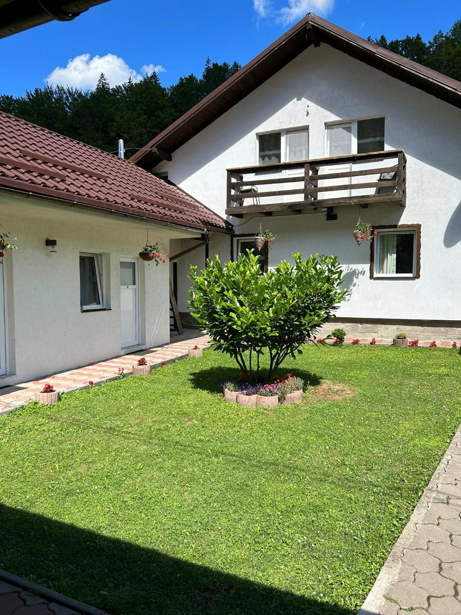Casa Popa'S Hotel Cîrţişoara Bagian luar foto