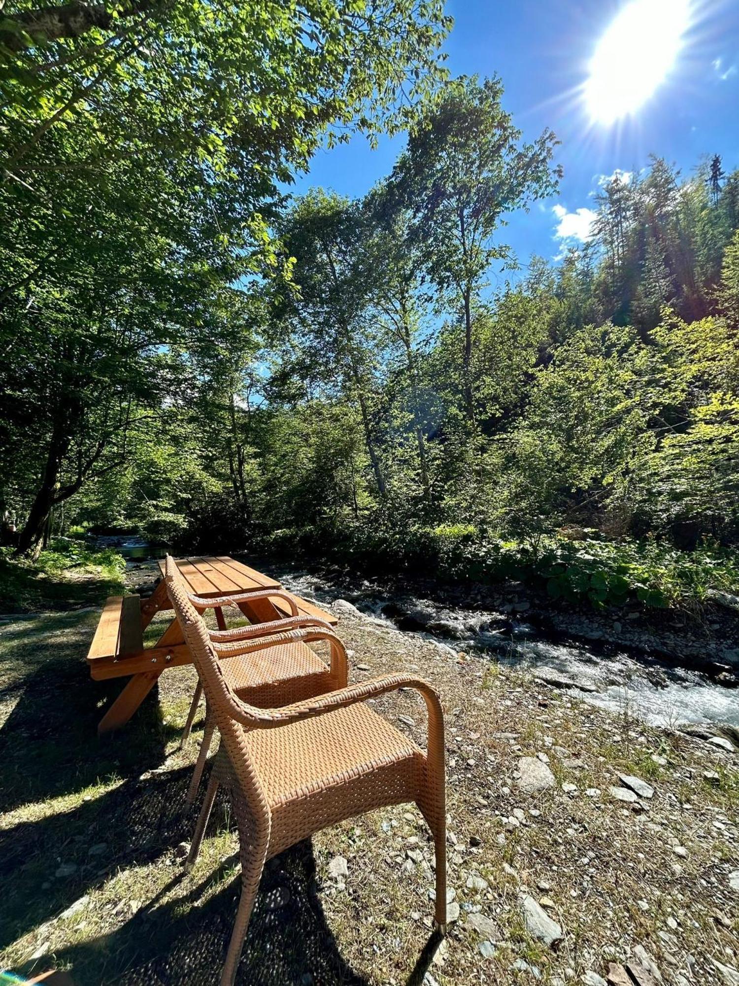 Casa Popa'S Hotel Cîrţişoara Bagian luar foto