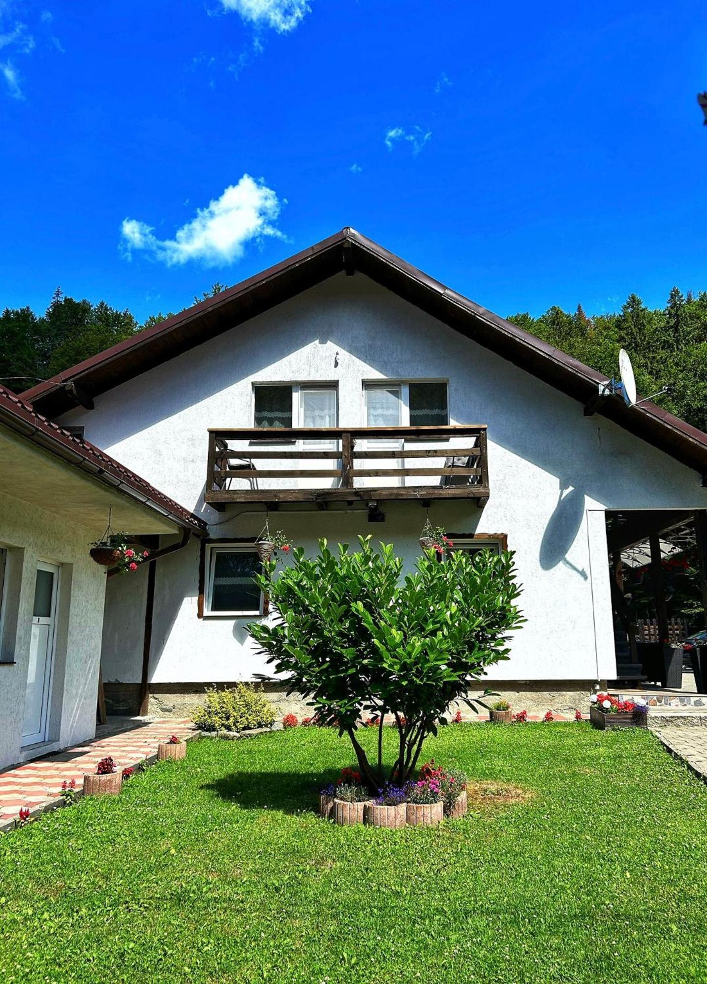 Casa Popa'S Hotel Cîrţişoara Bagian luar foto