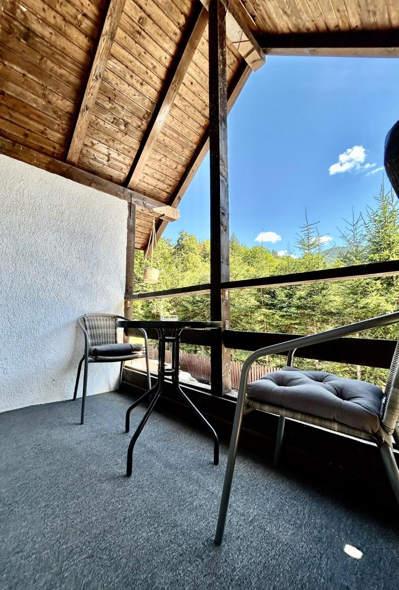 Casa Popa'S Hotel Cîrţişoara Bagian luar foto