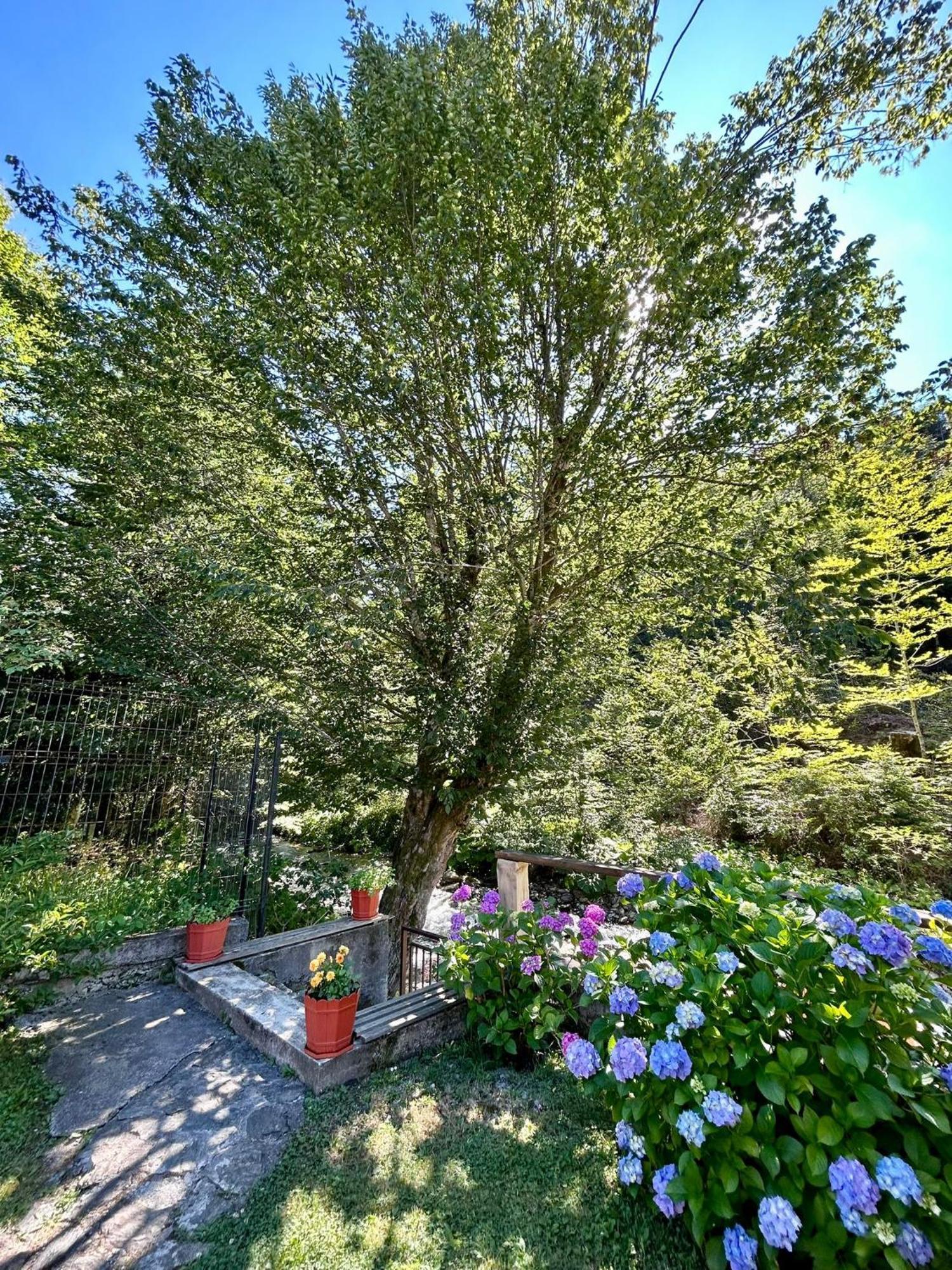 Casa Popa'S Hotel Cîrţişoara Bagian luar foto