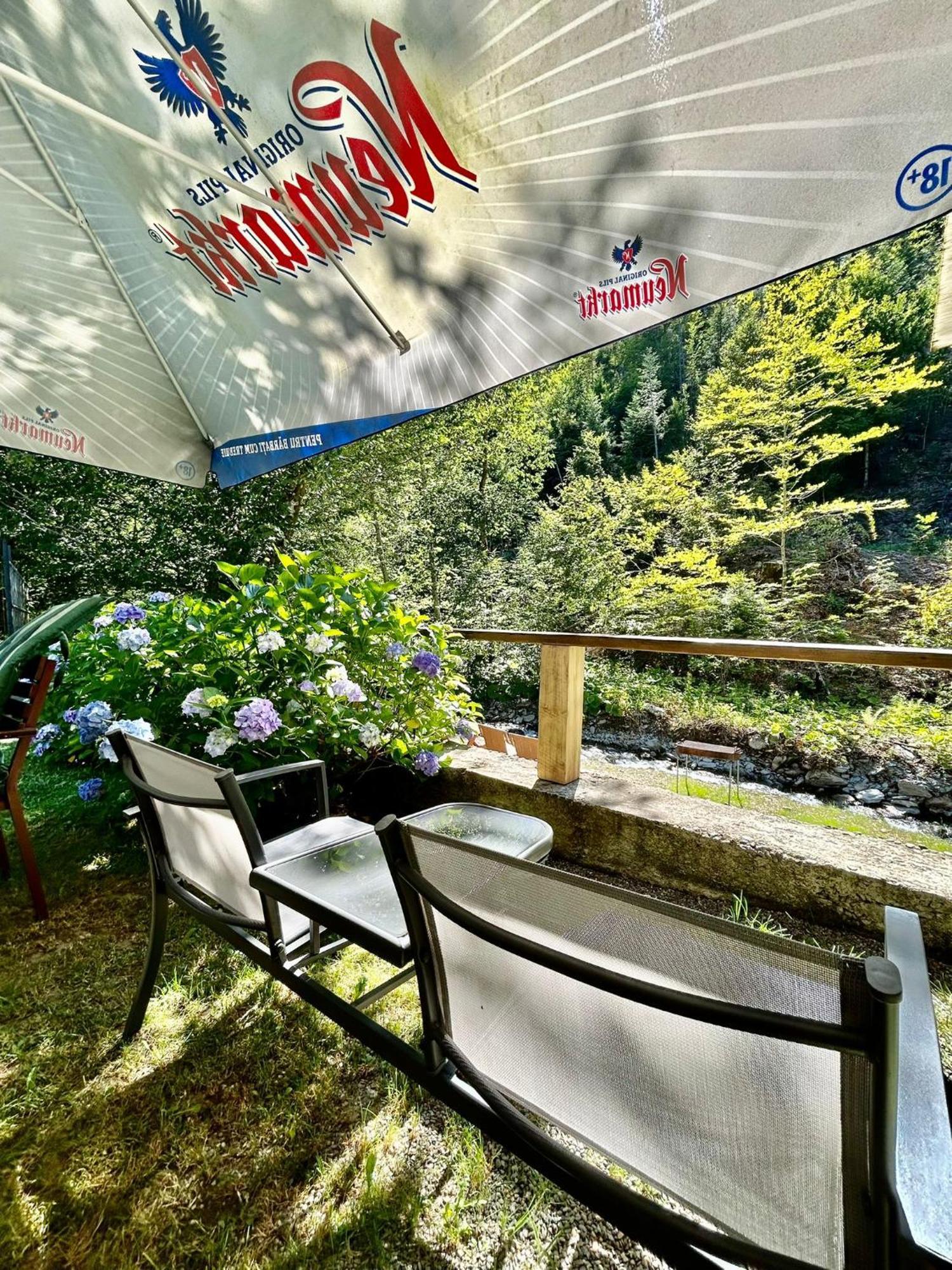 Casa Popa'S Hotel Cîrţişoara Bagian luar foto